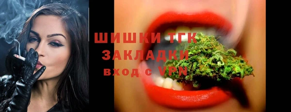 винт Осташков