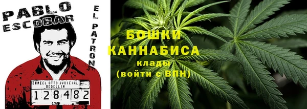 винт Осташков