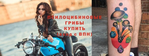 мескалин Осинники